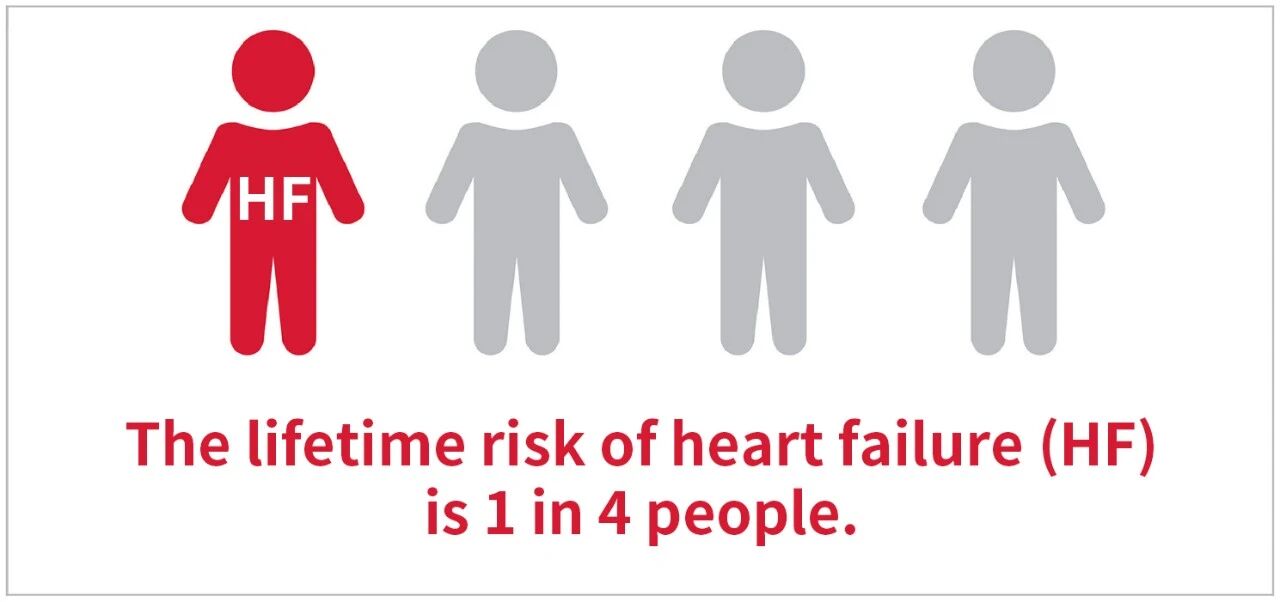 ��Ʒ���� | ��˥���˫���ܡ����۽���˥��׼��������Ǵ�δֹ����